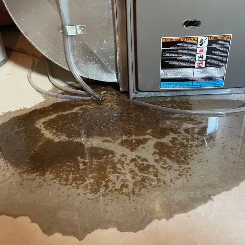 Pipe Burst and Leak Restoration in Bristol County, RI